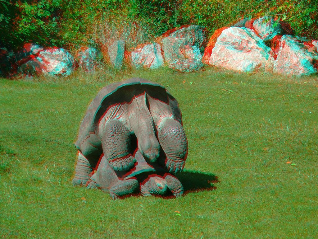 ZOO 3D