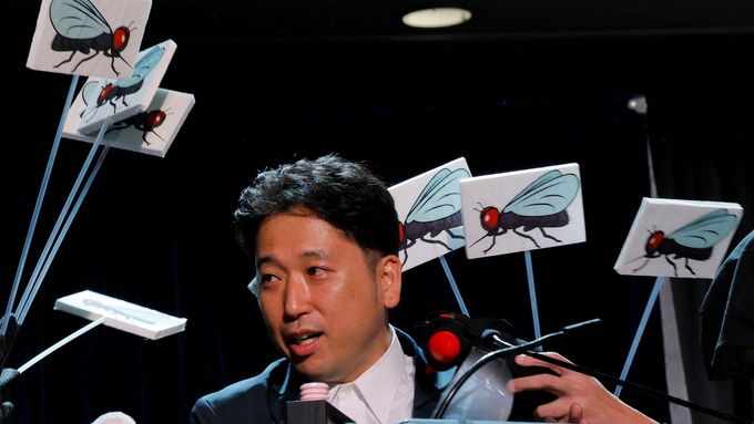Výzkumník Tomoki Kojima z Japonska přebírá cenu Ig Nobelovy ceny za biologii jménem výzkumné skupiny za jejich studii „Krávy s pruhy podobnými zebře se mohou vyhnout…“