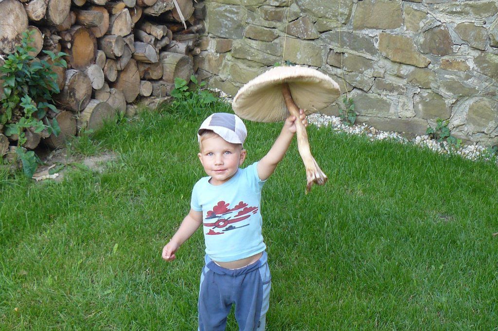 Fotosoutěž: Houby 2002 (srpen) xxx Čestmír Šnoblt xxx !!!Nepoužívat v článcích!!!