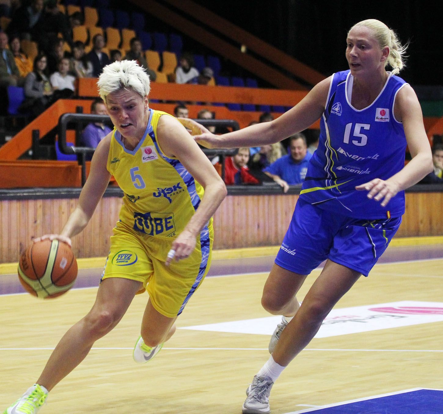 Jelena Škerovičová (basketbalistka)