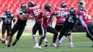 Americký fotbal, finále ČLAF: Prague Black Panthers - Příbram Bobcats