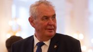 Prezident Miloš Zeman už před zahájením her avizoval, že přijme na Pražském hradě všechny sportovce. "Není důležité zvítězit, ale zúčastnit se," připomněl Zeman heslo zakladatele novodobých olympijských her Pierra de Coubertina a dodal: "Výsledkem je už to, že se na olympijské hry nominovali," doplnil.