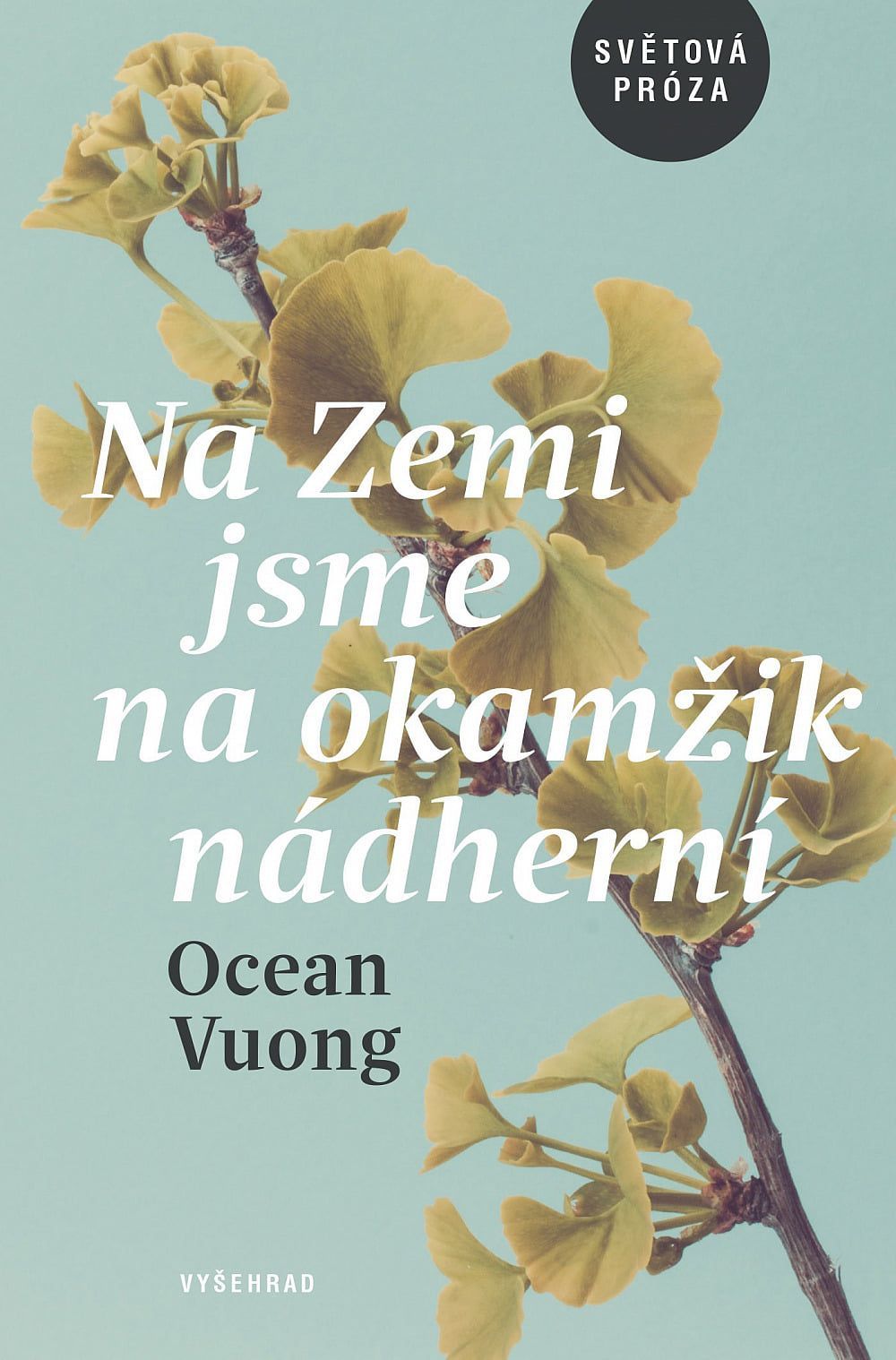 Ocean Vuong: Na Zemi jsme na okamžik nádherní