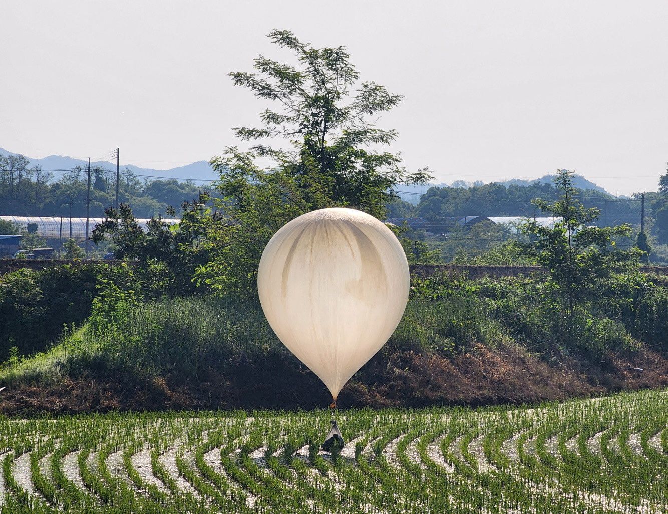 Balon, odpadky, KLDR, Jižní Korea