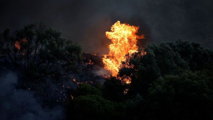 Požáry sužují zejména jižní Evropu, postihly Řecko, Španělsko i Portugalsko; Zdroj foto: Reuters