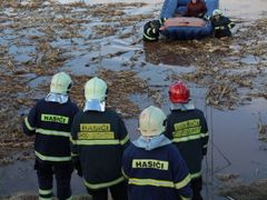 Postoloprty: hasiči zachraňují ženu ze zaplaveného pole