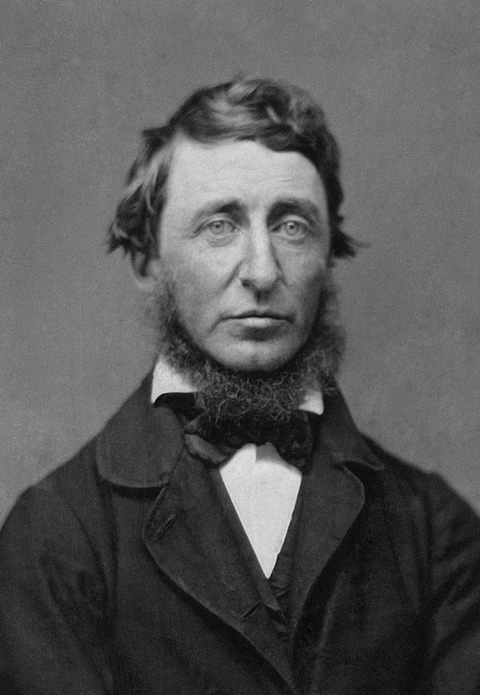 Henry David Thoreau na daguerrotypii z roku 1856.