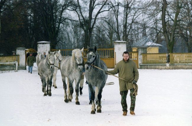 Expozice historických kočárů a prohlídka hřebčínů