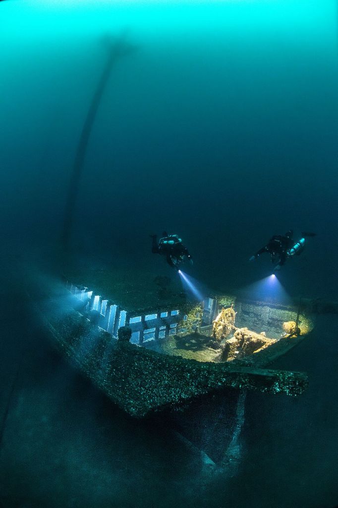 Vítězové soutěže Underwater Photographer of the Year 2024