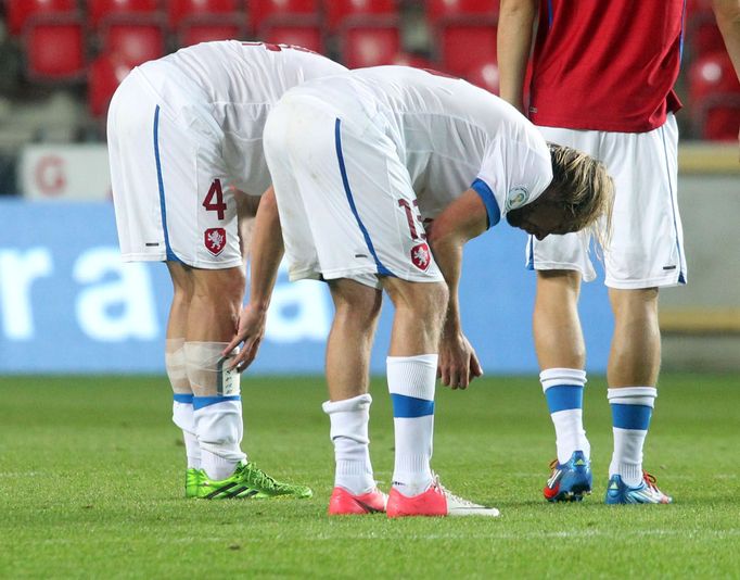 Fotbal, kvalifikace MS, Česko - Arménie: Marek Suchý a Jaroslav Plašil