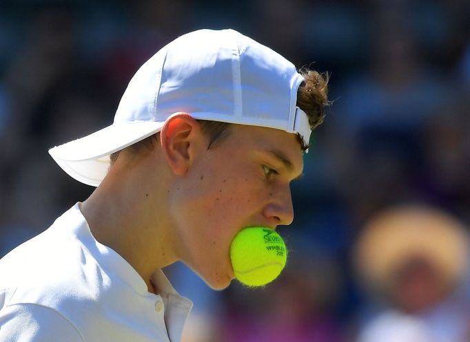 Jack Draper ve finále Wimbledonu 2018