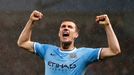 Radost Edina Džeka z Manchesteru City