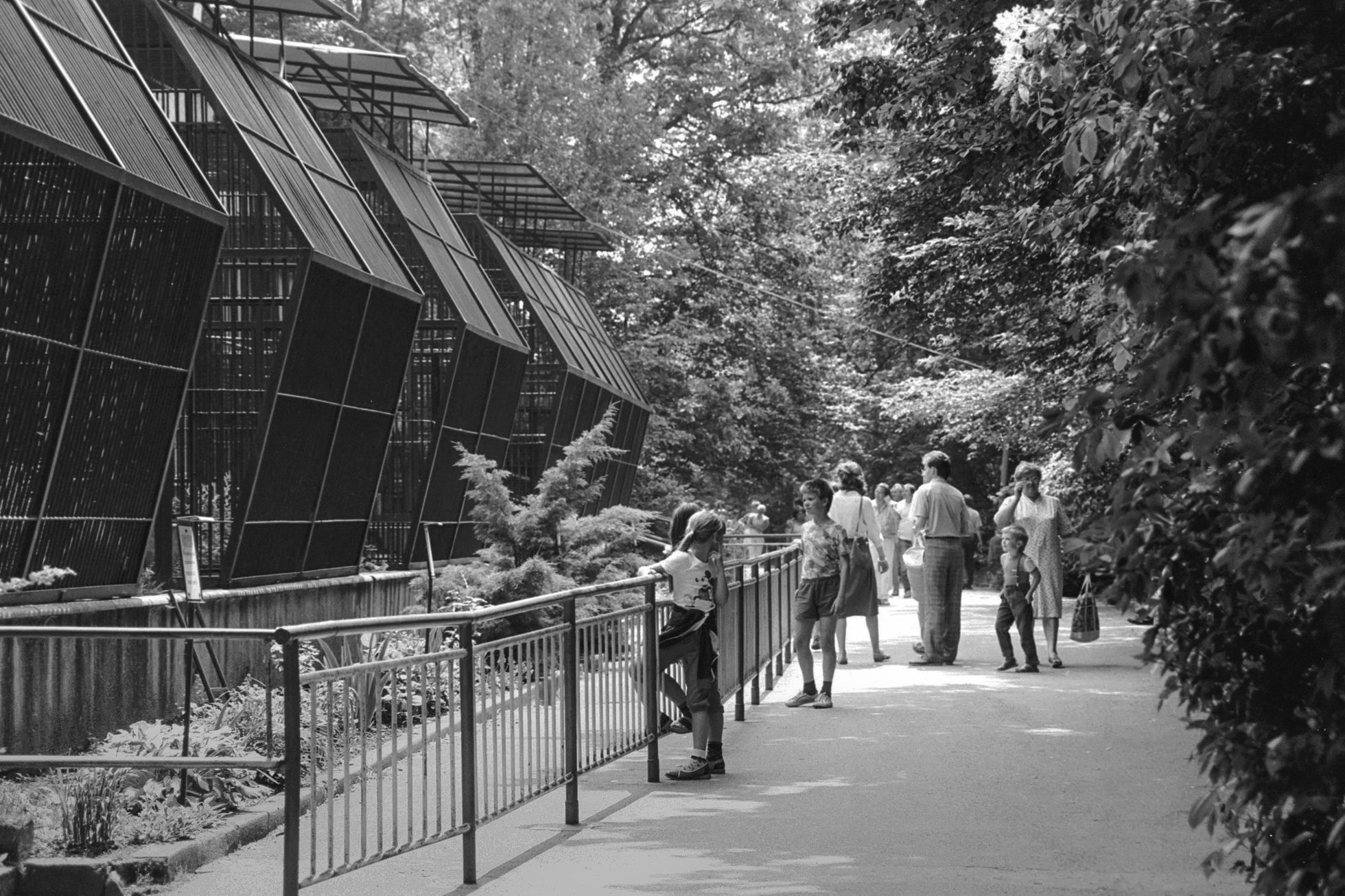 Zoo Brno, Brněnská zoo, zoo, zoologická zahrada, historie, výročí, Domácí