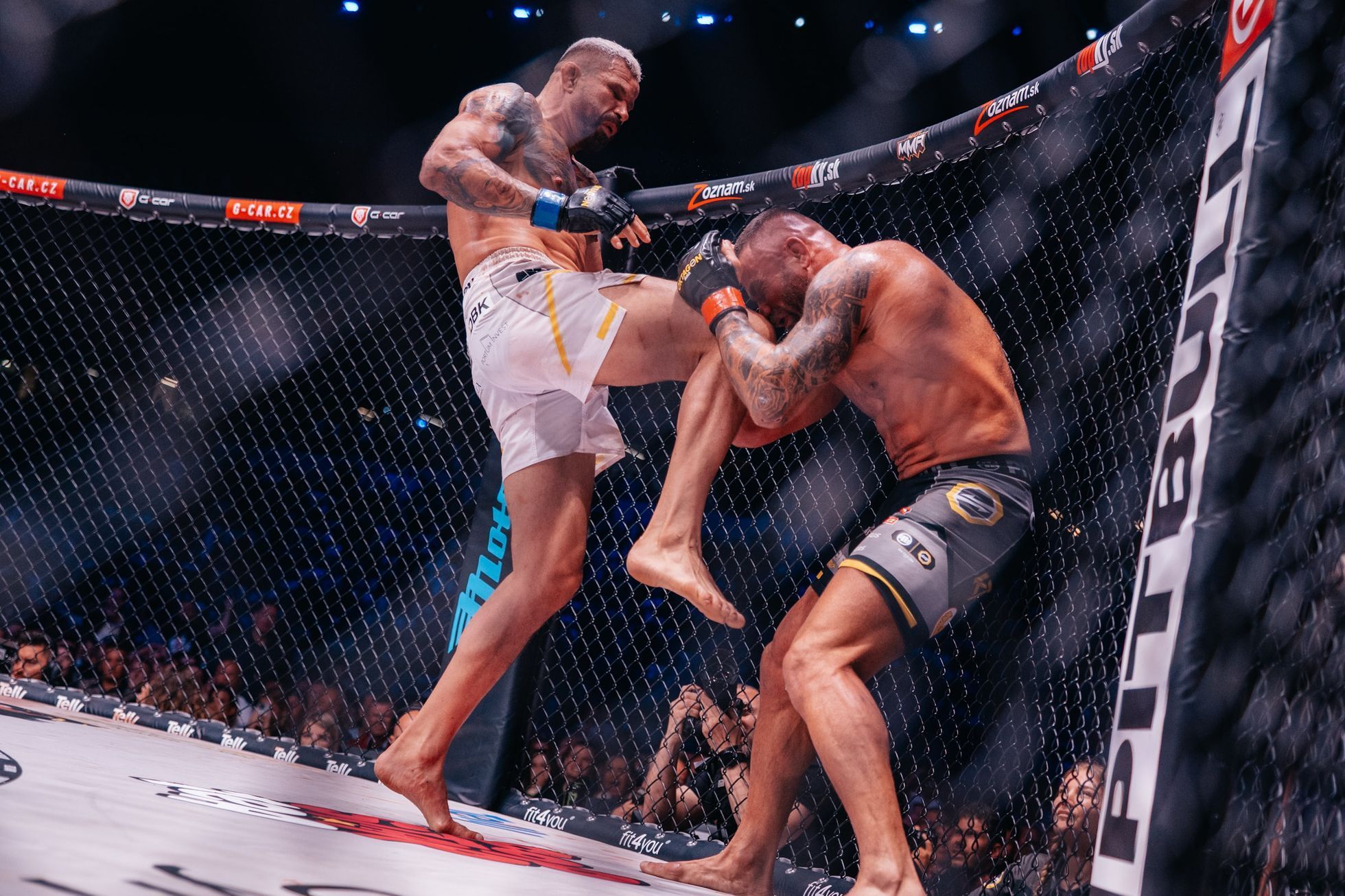 MMA: Vémola - Végh