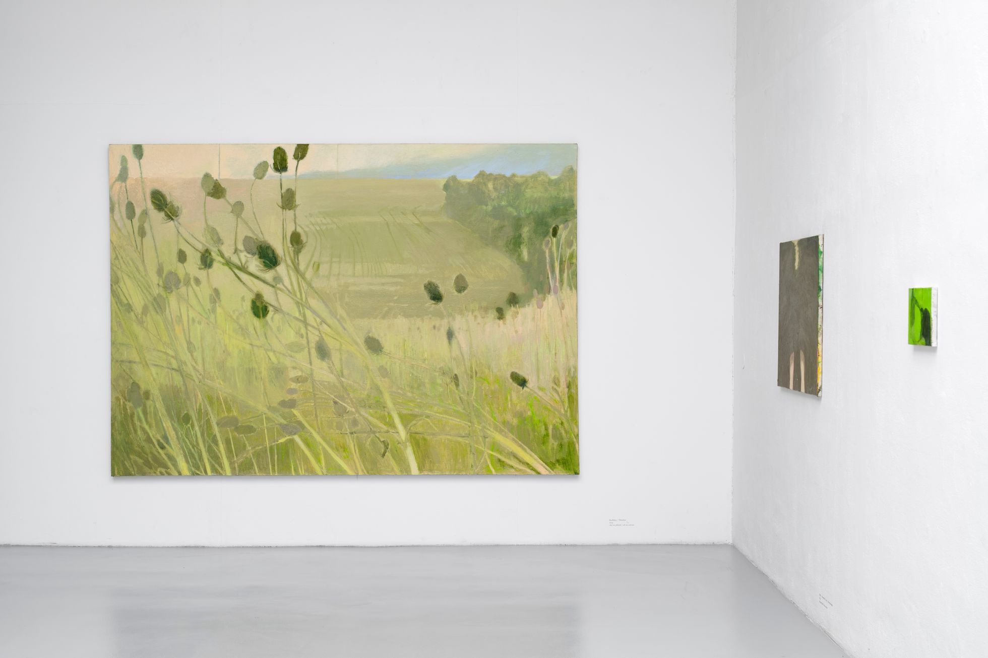 Ester Knapová, Trafo Gallery, 2024