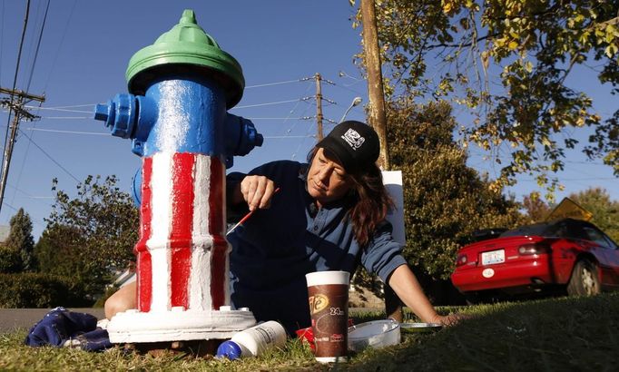 Connie Seay paints a patriotic theme onto a fire hydrant in Danville, Kentucky October 10, 2012. The Danville Arts Council was behind the "Adopt a Hydrant" scheme to show the town's enthusiasm for the upcoming vice presidential debate. U.S. vice presidential debates usually don't matter much, but the October 11 showdown held in the small town between Democratic incumbent Joe Biden and Republican challenger Paul Ryan could be an exception. REUTERS/Kevin Lamarque (UNITED STATES - Tags: POLITICS ELECTIONS USA PRESIDENTIAL ELECTION) Published: Říj. 10, 2012, 10:41 odp.