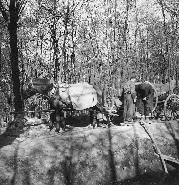 Archivní snímek z historie Brněnské ZOO, která letos v srpnu oslavila kulaté výročí 70. let od svého založení.