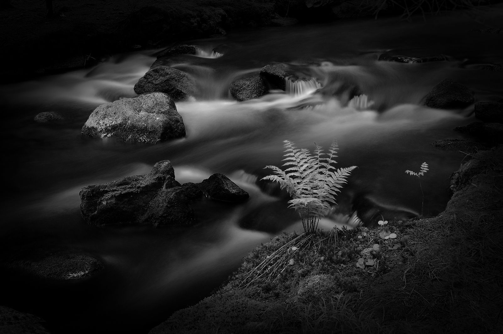 Kalendář Nikon 2017