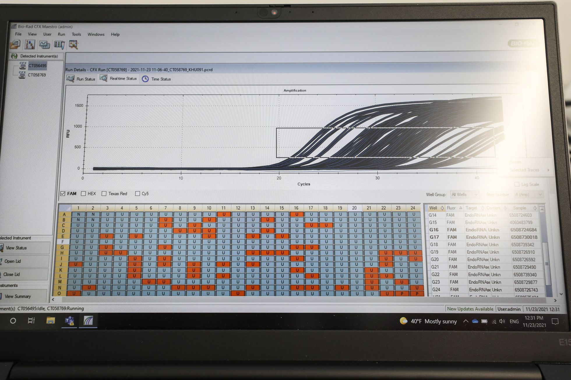 Výrobce PCR testů Diana Biotechnologies, laboratoř, koronavirus, nemoc, testování, laborant