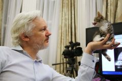 Assange absolvoval na ekvádorské ambasádě v Londýně dvoudenní výslech kvůli švédskému obvinění