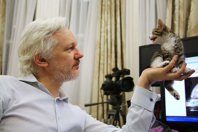 Julian Assange se svým kotětem na ekvádorské ambasádě v Londýně.