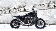 Harley-Davidson Aalesund ze Švédska je jasně inspirovaný severskou zimou.