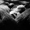 Week of Life - Jan Vrba - 2.7.12 - 7