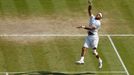 Djokovič vs. Del Potro, semifinále Wimbledonu 2013.