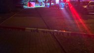 Police, Praha, Policie ČR, Jarov, střelba