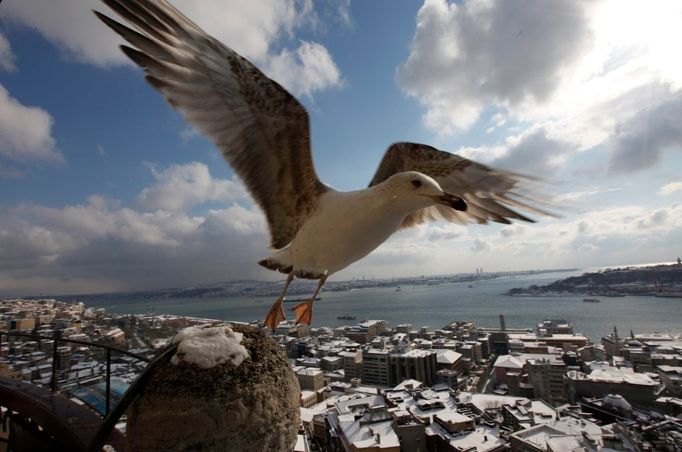 Rackův odlet z Galatské nebo také Kristovy věže v Istanbulu.