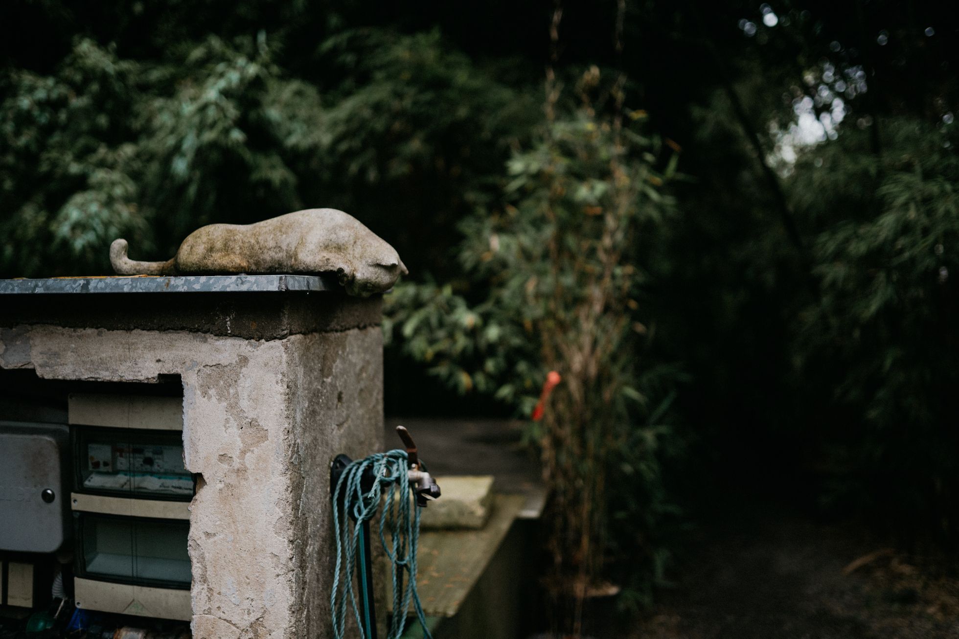 Bambusárium Bohnice