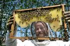 Sto korun za kilo medu je málo, říká včelař. Jeho medovina patří k nejlepším na světě