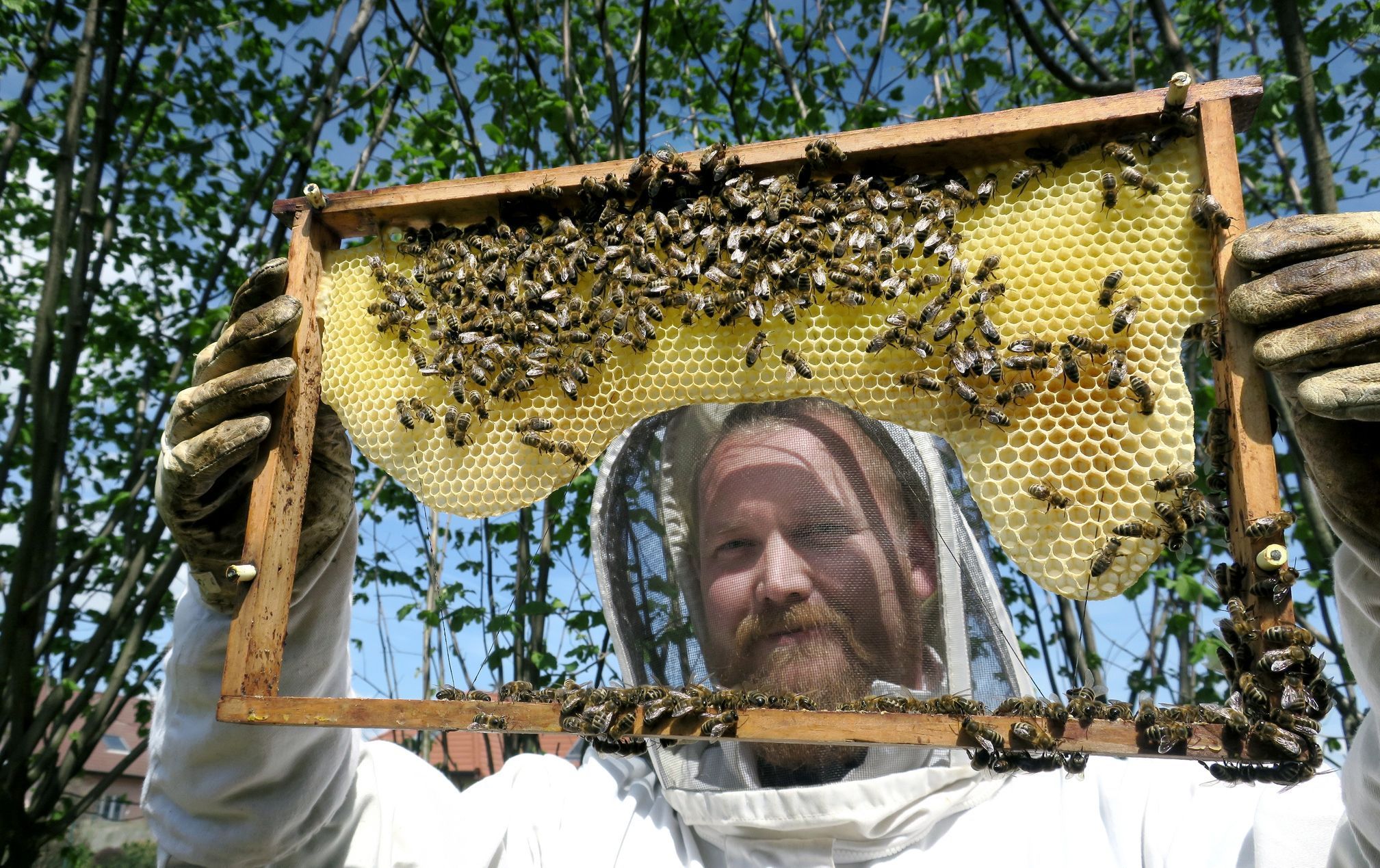 Jiří Bartoš, včelař