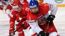 MS 2017, Česko-Bělorusko: Radko Gudas - Arťom Děmkov