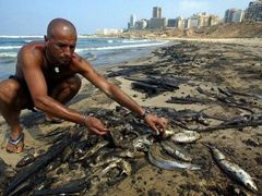 Libanonec ukazuje na oblíbené pláži nedaleko Bejrútu mrtvé ryby, které zahynuly ve znečištěné vodě. Po izraelském náletu na elektrárnu 13. července se do vody dostalo velké množství oleje, které znečistilo celé libanonské pobřeží.