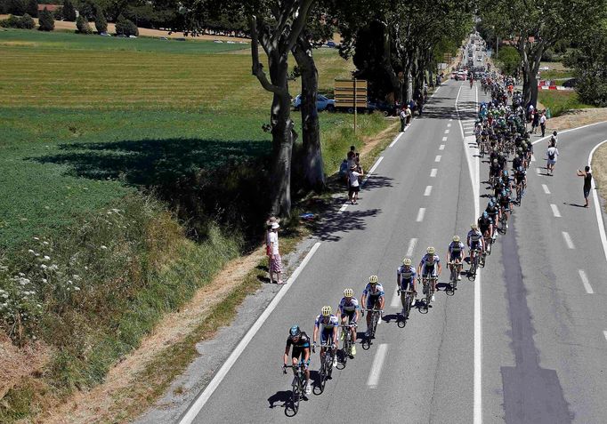 Tour de France 2013: peloton