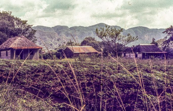 Fotografie Kuby, kterou pořídil Petr Levínský během pobytového zájezdu, jenž organizovala tehdejší Cestovní kancelář mládeže na jaře v roce 1989.