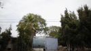 A trailer surrounded by trees is seen in Village Trailer Park in Santa Monica, California, July 13, 2012. Developer Marc Luzzatto wants to relocate residents from the trailer park to make way for nearly 500 residences, office space, stores, cafes and yoga studios, close to where a light rail line is being built to connect downtown Los Angeles to the ocean. Village Trailer Park was built in 1951, and 90 percent of its residents are elderly, disabled or both, according to the Legal Aid Society. Many have lived there for decades in old trailers which they bought. The property is valued at as much as $30 million, according the LA Times. REUTERS/Lucy Nicholson (UNITED STATES - Tags: REAL ESTATE BUSINESS SOCIETY POLITICS) Published: Čec. 14, 2012, 7:37 dop.