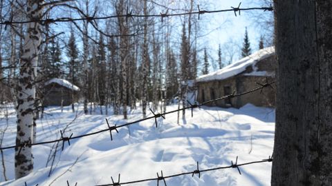 Přežil sovětský gulag. Co ho zachránilo? Zpověď pamětníka