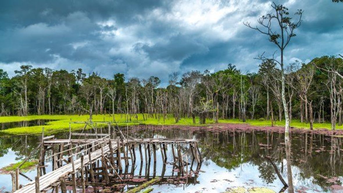 Dobrodružství ve stylu Indiana Jonese: Výlet do brazilského Pantanalu