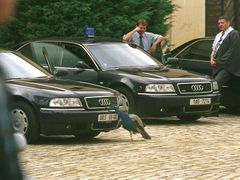 Řidiči vládních limuzín sledují zámeckého páva na nádvoří v Kolodějích. Červenec 2004.