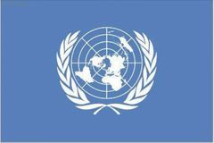Stížnost k OSN: Okradli mě o valuty