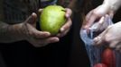 Mya Wollf (R), 28, and Robin Pickell, 23, practising 'freegans', sort through food they recently found in a dumpster behind Commercial Drive in Vancouver, British Columbia April 10, 2012. A 'Freegan' is someone who gathers edible food from the garbage bins of grocery stores or food stands that would otherwise have been thrown away. Freegans aim to spend little or no money purchasing food and other goods, not through financial need but to try to address issues of over-consumption and excess. Picture taken April 10, 2012. REUTERS/Ben Nelms (CANADA - Tags: SOCIETY) ATTENTION EDITORS PICTURE 05 OF 21 FOR PACKAGE 'DUMPSTER DIVING FOR FOOD' Published: Kvě. 15, 2012, 11:58 dop.