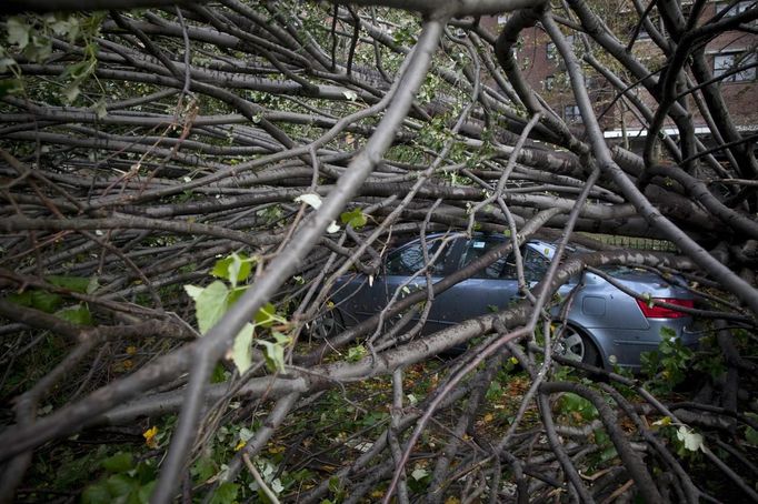 V ulicích New Yorku pohřbily padlé stromy nejeden automobil.