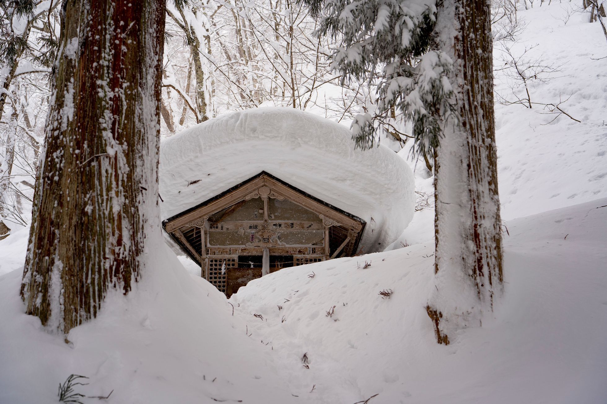 japonsko lyžování hakuba