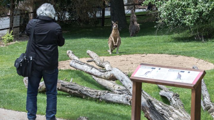 Do pražské zoo a botanické zahrady dorazily tisíce lidí, zoo opět regulovala vstup; Zdroj foto: Jakub Plíhal