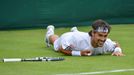 Wimbledon 2013 začal: Fognini