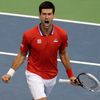 Davis Cup, finále Srbsko-ČR: Novak Djokovič