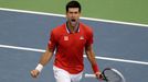 Davis Cup, finále Srbsko-ČR: Novak Djokovič