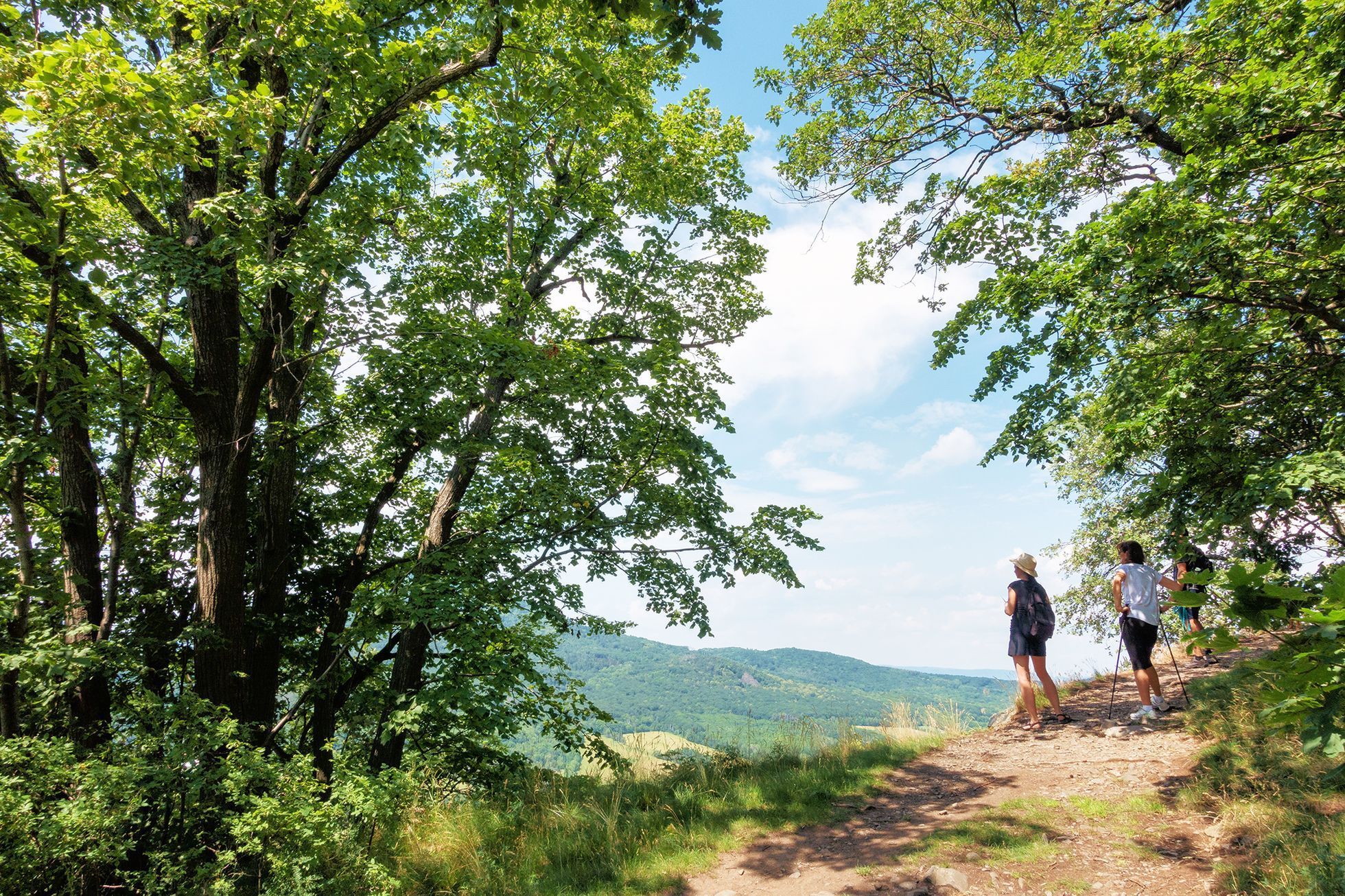 Zlatá stezka zemí hradů - České středohoří